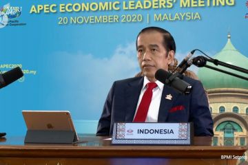 Indonesia serukan penguatan kerja sama ekonomi di KTT APEC 2020