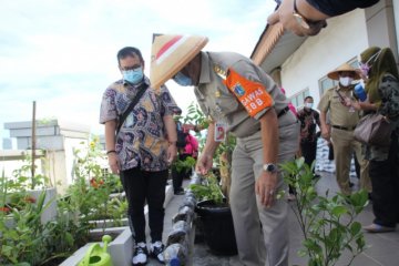 TP-PKK Jaksel gelar lomba unik menanam sayuran dalam botol bekas