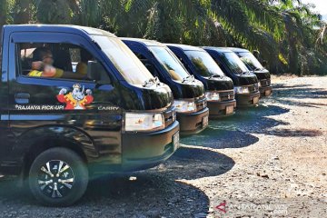 Suzuki Carry Pick-Up raih kenaikan pangsa pasar 3,4 persen