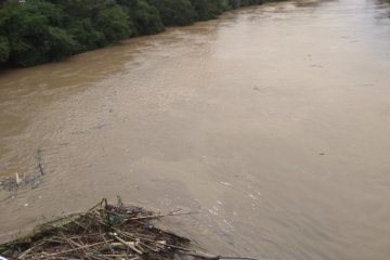 BPBD Lebak berlakukan status awas Sungai Ciujung-Ciberang meluap