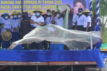Panen udang vaname di Tambak Lantamal V Surabaya