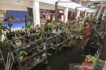 Pameran tanaman hias masuk mal