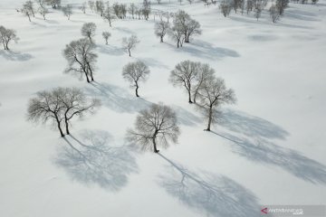 Pemandangan musim dingin di Hebei, China