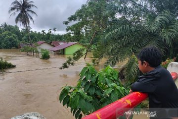 WALHI: Banjir Aceh akibat perubahan fungsi hutan