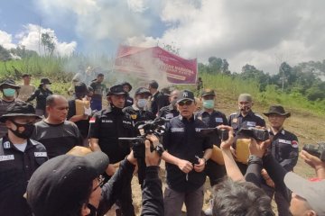 Bareskrim tangkap jaringan pemasok ganja ke LP di Sumatera Barat