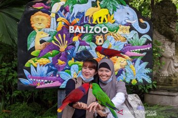 Bali Zoo kembali bangkit di tengah pandemi COVID-19