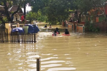 Banjir rendam ribuan hektare tanaman padi di Banten