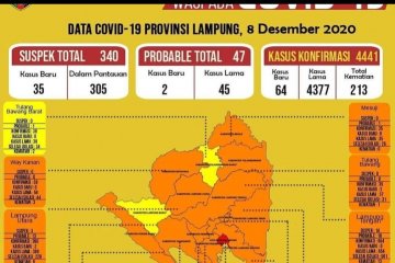Dinkes: Pasien COVID-19 di Lampung terus bertambah menjadi 4.441