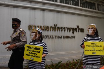 Aksi protes eksploitasi monyet di Kedubes Thailand