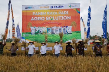 Pupuk Indonesia luncurkan Agro Solution genjot produktivitas pertanian