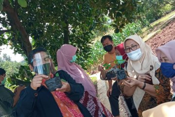 Jakarta Selatan latih warga budi daya cabai