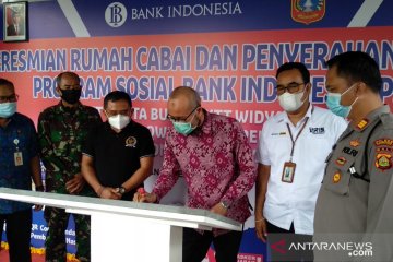 BI Bali bina petani Merta Buana kembangkan cabai dari hulu ke hilir