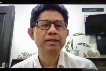 Kepala daerah terpilih berpeluang selamatkan hutan lewat tata kelola