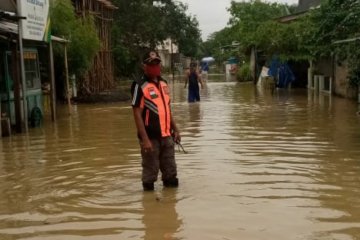 Banjir kembali melanda sebagian wilayah Cilacap