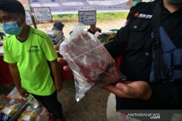 Daging Sapi Beku Bulog