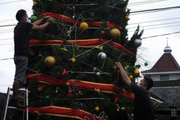 Menghias pohon cemara