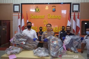 Polisi gagalkan perdagangan kulit dan tulang harimau sumatera di Sumut