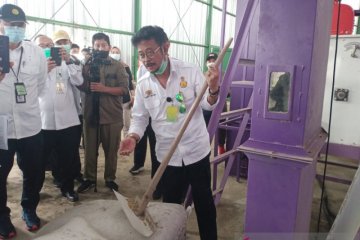 Mentan pacu produksi hingga hilirisasi beras di food estate Kalteng