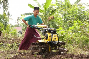 120 hektare lahan gambut di Sungai Apit bakal ditanami sagu