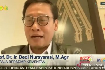 Dukung regenerasi, Kementan targetkan cetak 2,5 juta petani milenial