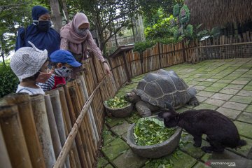 Ancol tutup layanan selama libur natal dan tahun baru