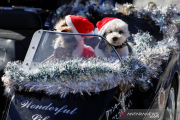 Parade Santa bermoge di Tokyo