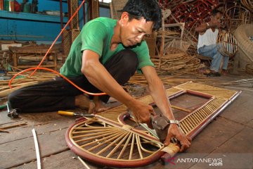 Kadin minta pemerintah perhatikan kelangsungan "hidup" petani rotan