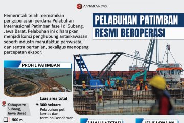 Pelabuhan Patimban resmi beroperasi