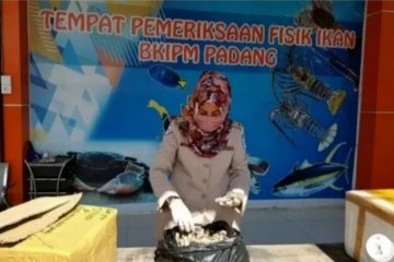 SKIPM Padang: Hasil perikanan dipasarkan ke domestik Rp23,7 miliar