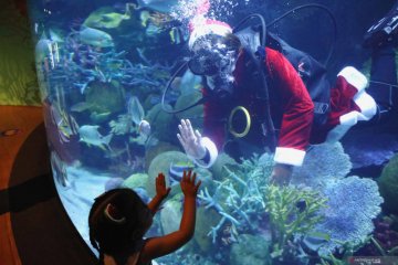 Suasana Natal di akuarium Sea Life Bangkok