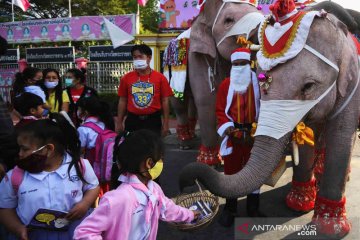 Keunikan gajah berpakaian Sinterklas bagi-bagi masker pelindung wajah di Thailand
