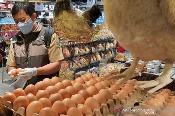Harga telur ayam murah ada di 15 pasar di DKI Jakarta