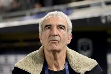 Raymond Domenech jadi pelatih Nantes