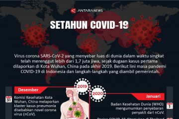 Setahun COVID-19