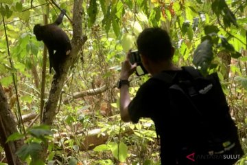 Dinas Kehutanan Sumsel siapkan tiga kawasan ekosistem esensial