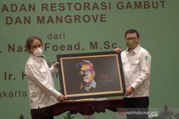 Kepala BRGM sebut restorasi gambut dan mangrove saling berhubungan