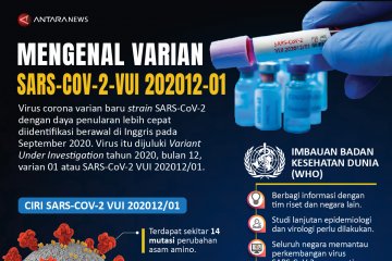 Mengenal virus corona varian baru SARS-CoV-2-VUI 202012-01