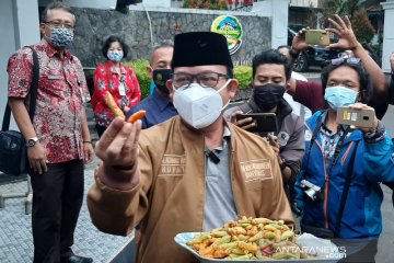 Bupati Banyumas minta pengusutan kasus cabai berpewarna merah