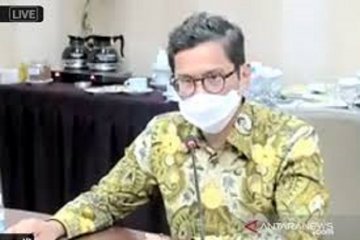 Wamen BUMN: Presidensi G20 dorong transisi energi hijau berkelanjutan