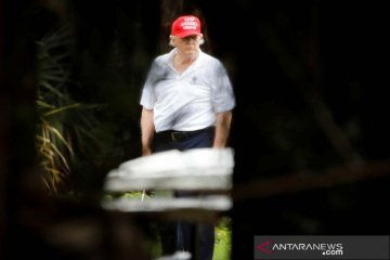 Presiden AS Donald Trump bermain golf di lapangan miliknya