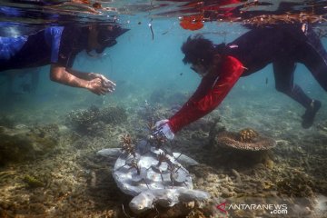 PBB sepakati perjanjian perlindungan keanekaragaman hayati laut lepas