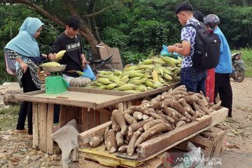 Warga Batam borong jagung jelang Tahun Baru 2021