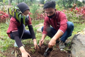 Mitigasi bencana, tanam 2.500 pohon di lereng Argopuro Jember