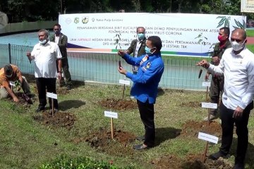 UKM dan Pemkot Medan kembangkan Eucalyptus guna tangkal penyebaran COVID-19