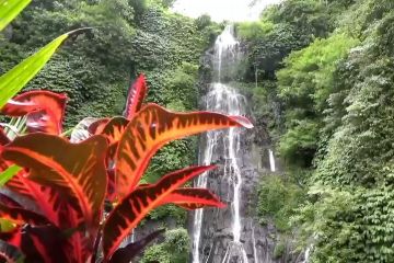 Wisatawan domestik kunjungi air terjun kembar dan Bali Safari