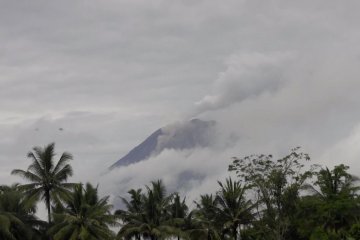 Gunung Semeru masih luncurkan lava pijar & guguran awan panas