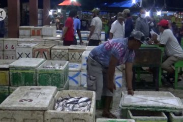 Harga ikan Laut di Banjarmasin dipastikan tidak naik hingga awal 2021