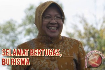 Tri Rismaharini, Menteri Sosial baru pilihan Presiden Jokowi