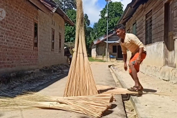 Lidi Nipah jadi pendapatan nelayan Desa Kota Kapur Pulau Bangka