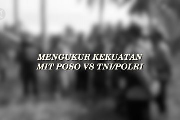 Mengukur kekuatan MIT Poso Vs TNI/Polri